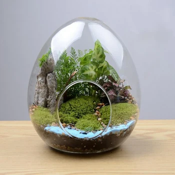 1PC Criativo em forma de ovo de garrafas de vidro Vaso de Vidro Hidropônico Carnuda Micro Paisagem Garrafa de Vidro Moss Decoração Home